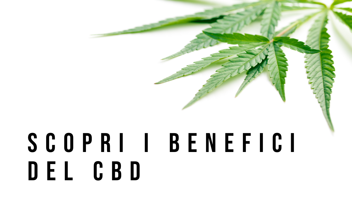 Infiorescenze Cannabis Light cbdpremium